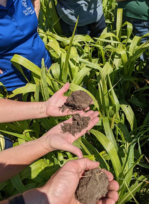 Regenerative Agriculture Can Help Bring Soil Back To Life | Global ...